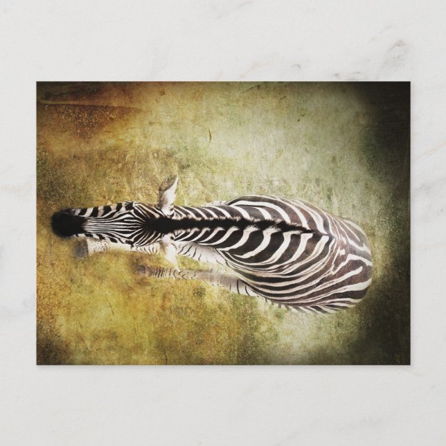 Stripes Postcard (Front)