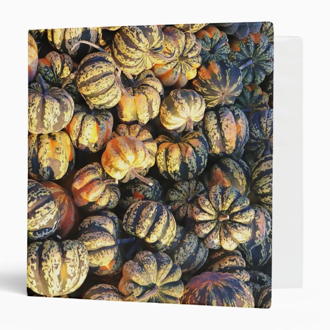 Stripey Pumpkins Cluster  3 Ring Binder (Front/Inside)