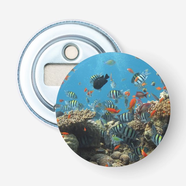 Stripey Tropical Fish Coral Chaos Bottle Opener (Front)