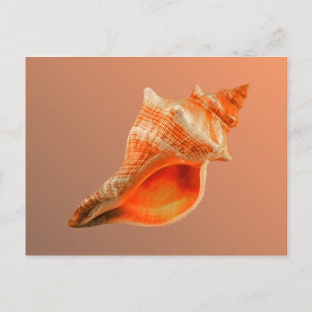 Stripped Fox Postcard (Front)