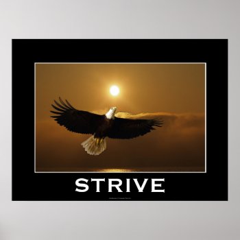 Strive ~ Flying Bald Eagle Motivational Poster by RavenSpiritPrints at Zazzle