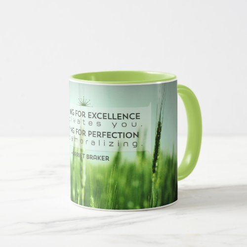 Striving For Excellence Mug