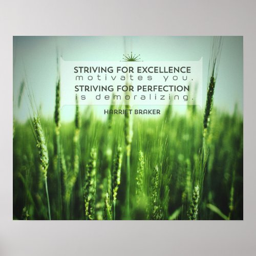 Striving For Excellence Poster