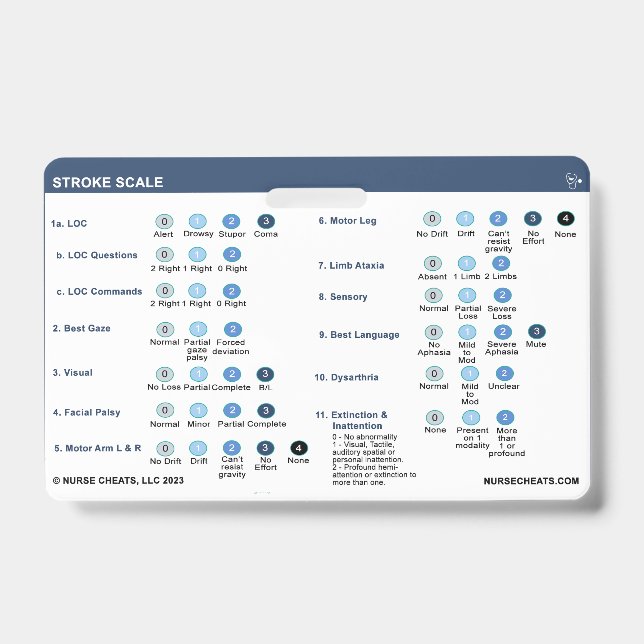 STROKE SCALE BADGE (Front)