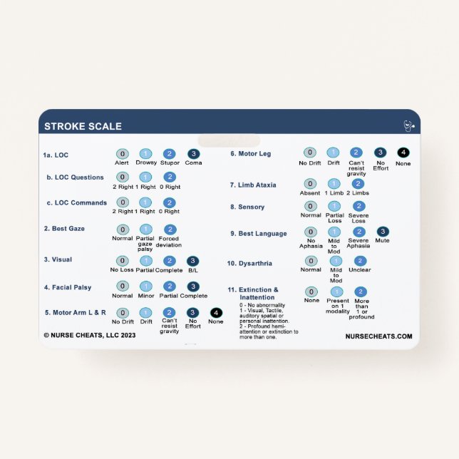 STROKE SCALE BADGE (Front)