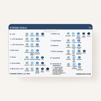 STROKE SCALE BADGE