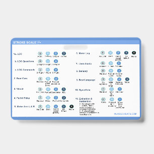 Stroke Scale Badge Companion