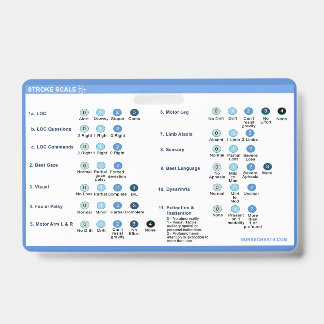 Stroke Scale Badge Companion