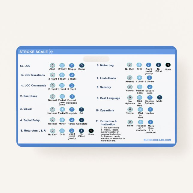 Stroke Scale Badge Companion (Front)