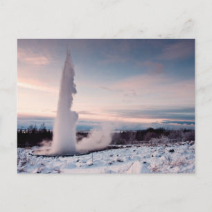 Strókur geysir postcard