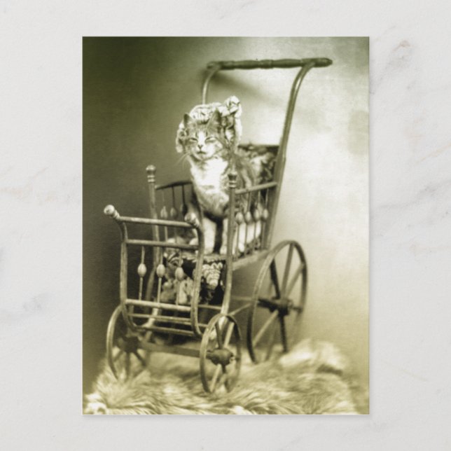 strolling with kitty postcard (Front)