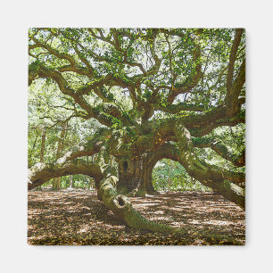 Strong And Bold Magnet