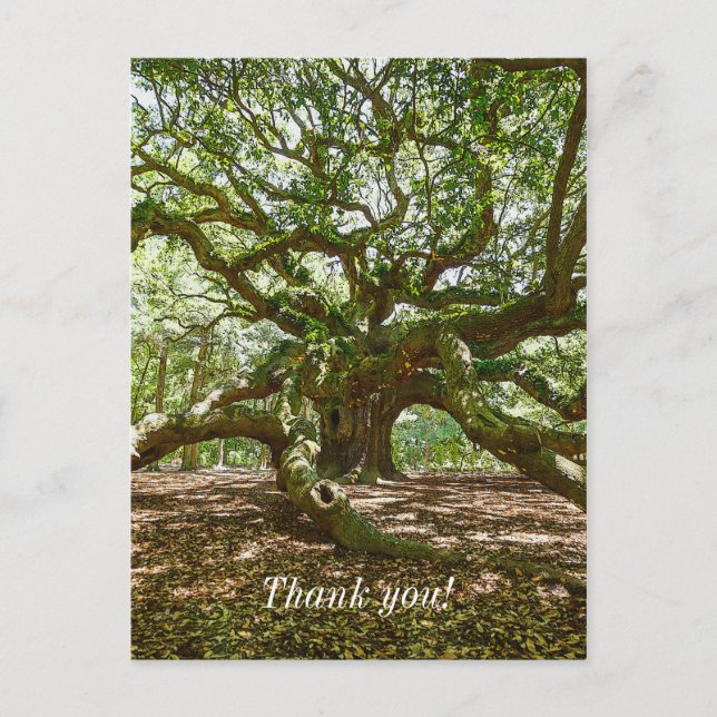 Strong And Bold Postcard (Front)