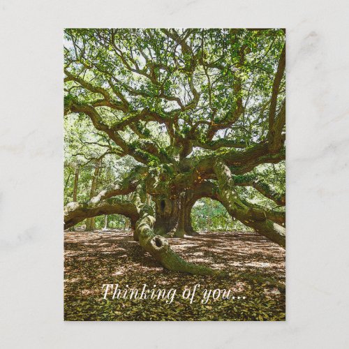 Strong And Bold Thinking Of You Postcard