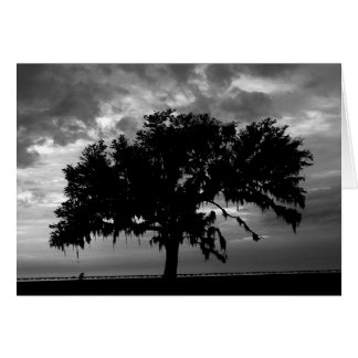 Strong as an Oak Cards
