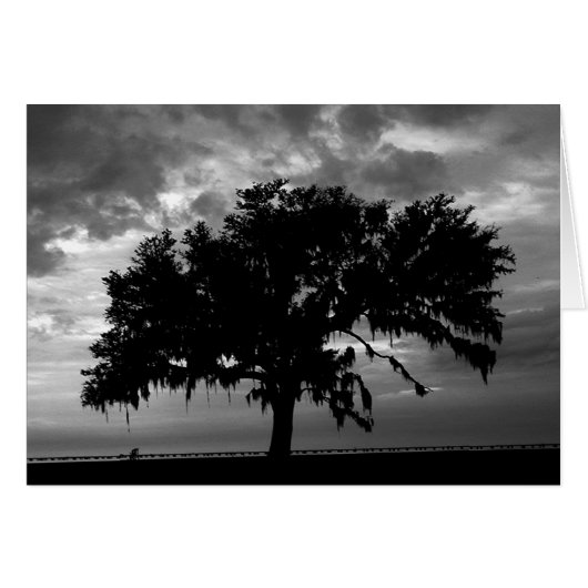 Strong as an Oak Cards (Front Horizontal)