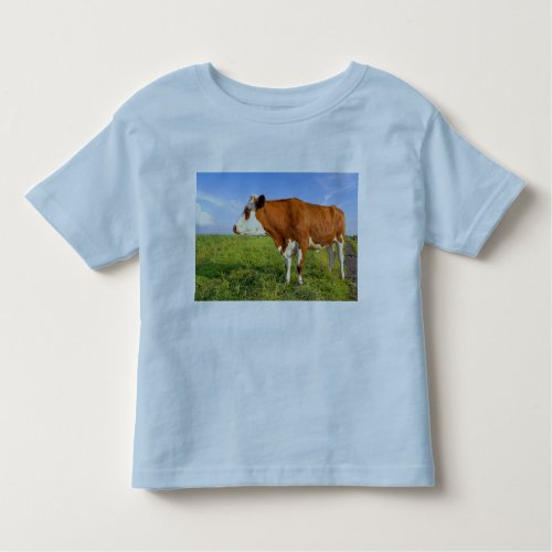 Strong Friesian cow Toddler T_shirt