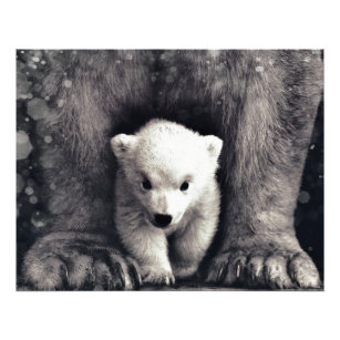 Strong Like Mamma Polar Bear Cub Photo Print