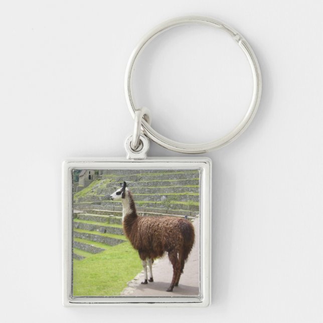 strong llama peru keychain (Front)