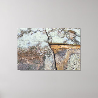 STRONG NATURE CANVAS PRINT
