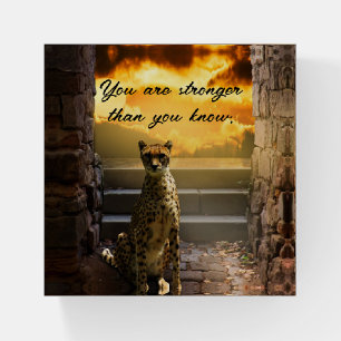 STRONGER THAN YOU KNOW PAPERWEIGHT