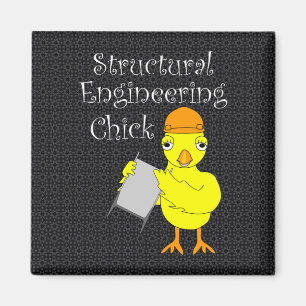 Structural Engineering Chick Magnet