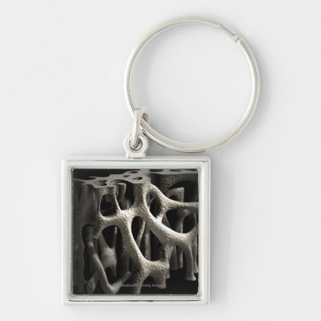 Structure of a bone with osteoporosis keychain (Front)
