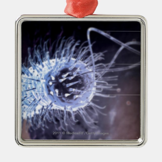 Structure of a helicobacter pylori cell metal ornament (Front)