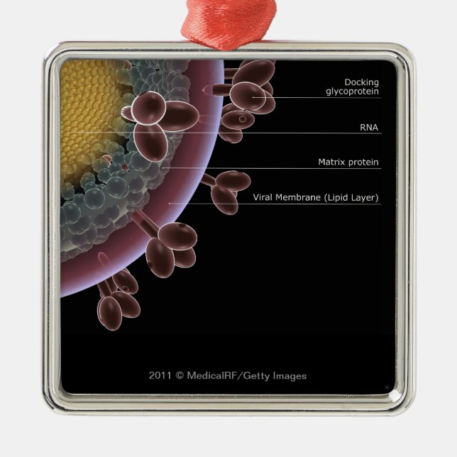 Structure of a HIV cell Metal Ornament (Front)