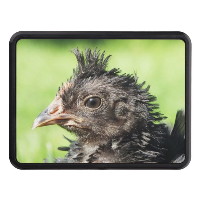 Strupp fun little chicken chick hitch cover (Front)