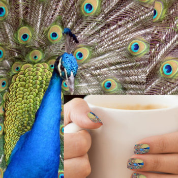 Strut Your Stuff - Peacock  Minx Nail Wraps by CatsEyeViewGifts at Zazzle
