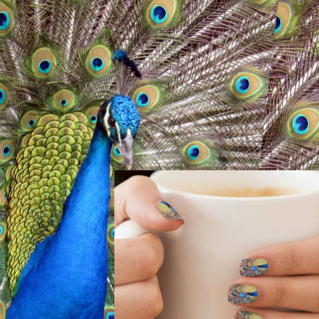 Strut Your Stuff - Peacock  Minx Nail Wraps (Creator Uploaded)