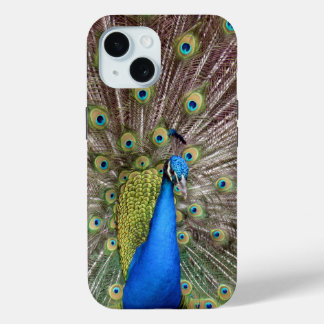 Strut Your Stuff - Peacock Phone case