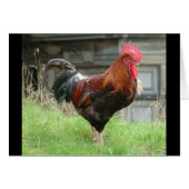 Struting my stuff (Front Horizontal)