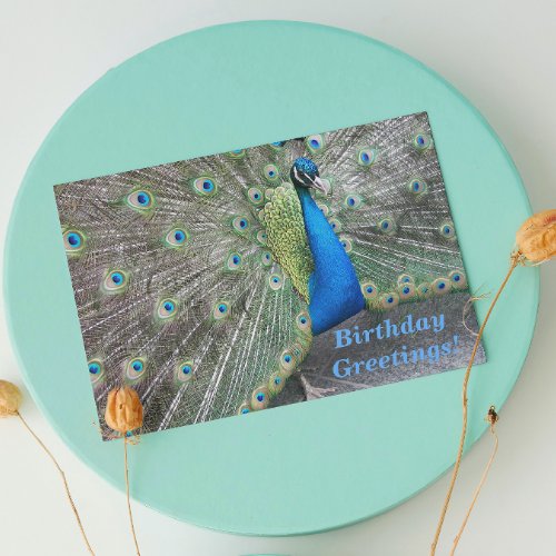 Strutting Blue Peacock Funny Birthday Card