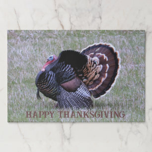 Strutting Thanksgiving Wild Turkey Paper Placemat