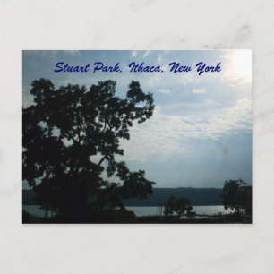 STUART PARK,ITHACA,NEW YORK postcard