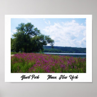STUART PARK, ITHACA,NEW YORK poster