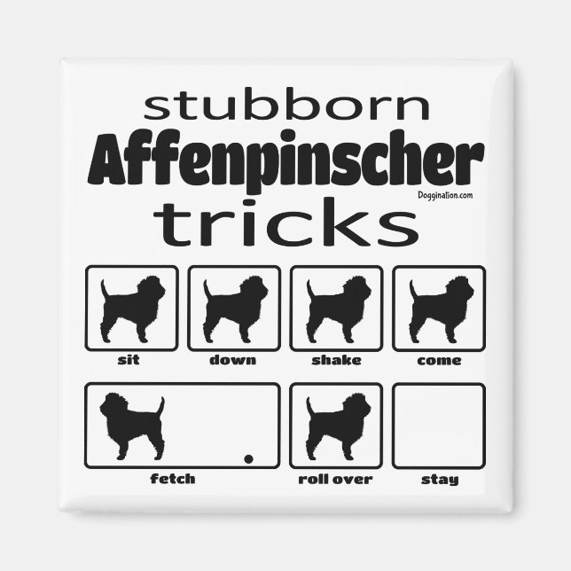Stubborn Affenpinscher Tricks Magnet (Front)