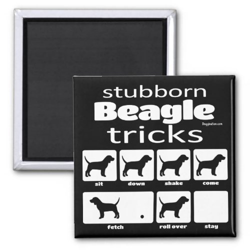 Stubborn Beagle Tricks Magnet