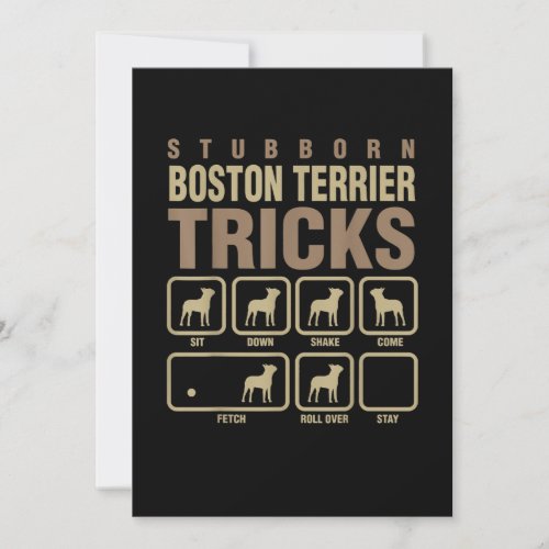 Stubborn Boston Terrier Tricks Dog Lover T_Shirt Announcement