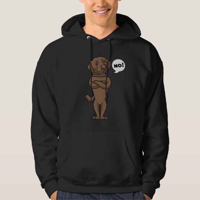 Stubborn Chesapeake Bay Retriever Dog funny Hoodie (Front)