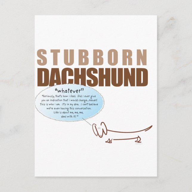 Stubborn Dachshund..WHATEVER ! Postcard (Front)