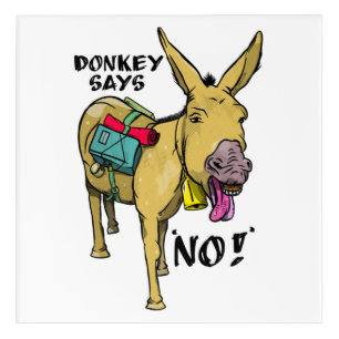 Stubborn donkey Funny mule Acrylic Print