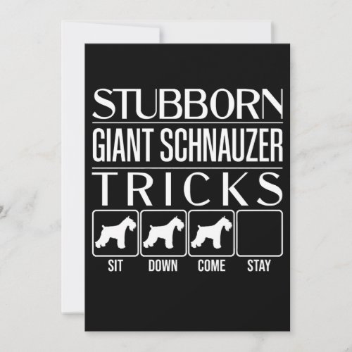 Stubborn Giant Schnauzer Tricks Funny Giant Schna Announcement