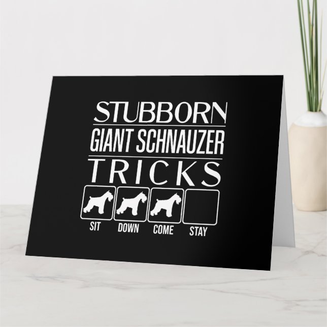 Stubborn Giant Schnauzer Tricks, Funny Giant Schna Card (Front)