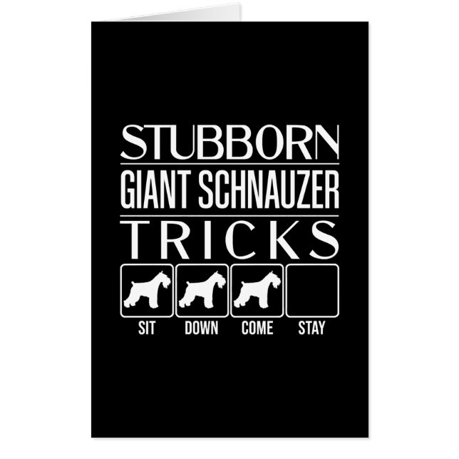 Stubborn Giant Schnauzer Tricks, Funny Giant Schna Card (Front)