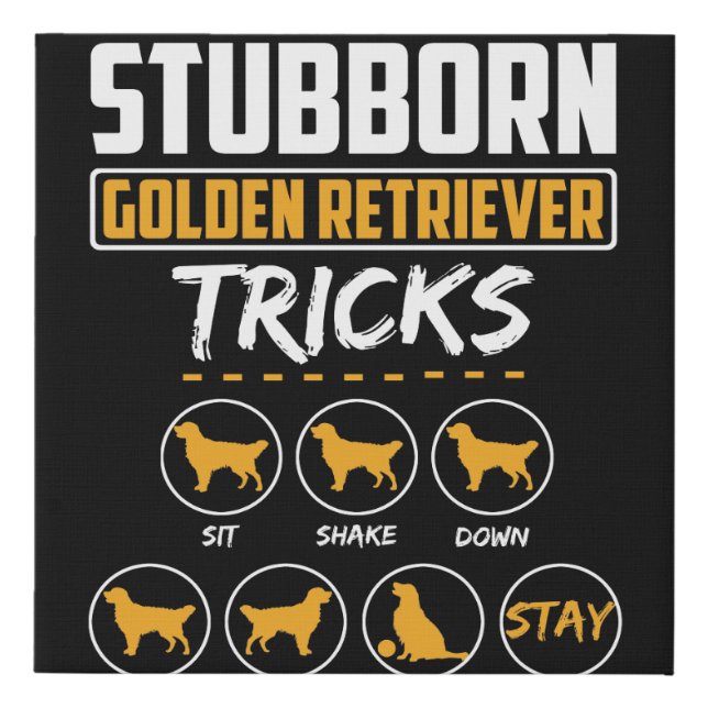 Stubborn Golden Retriever Tricks Faux Canvas Print (Front)