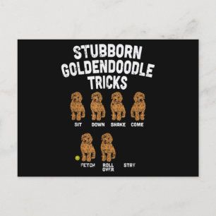 Stubborn Goldendoodle Tricks Funny Dog Trainer Mom Postcard
