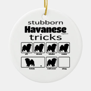 Stubborn Havanese Tricks Ceramic Ornament